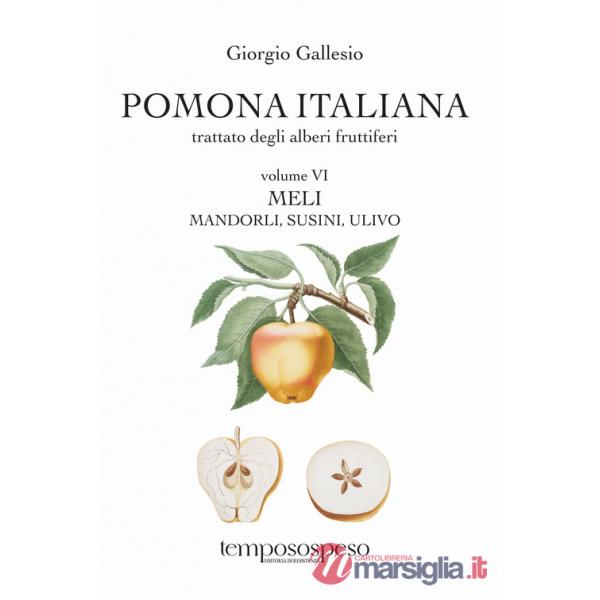 Pomona italiana ossia Trattato degli alberi fruttiferi. Vol. 6: Meli, mandorli, susini, ulivo