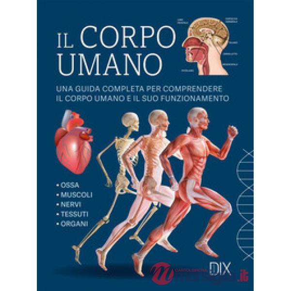 Corpo umano. Ediz. a colori (Il)