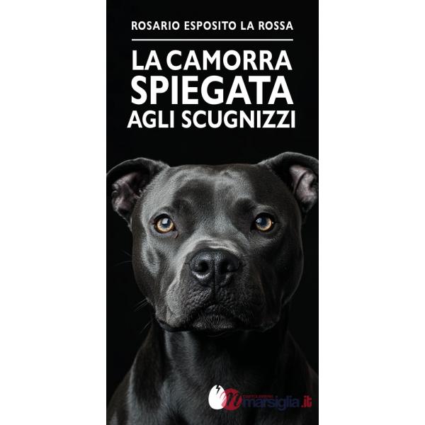 Camorra spiegata agli scugnizzi (La)