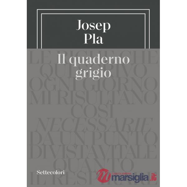 Quaderno grigio (Il)