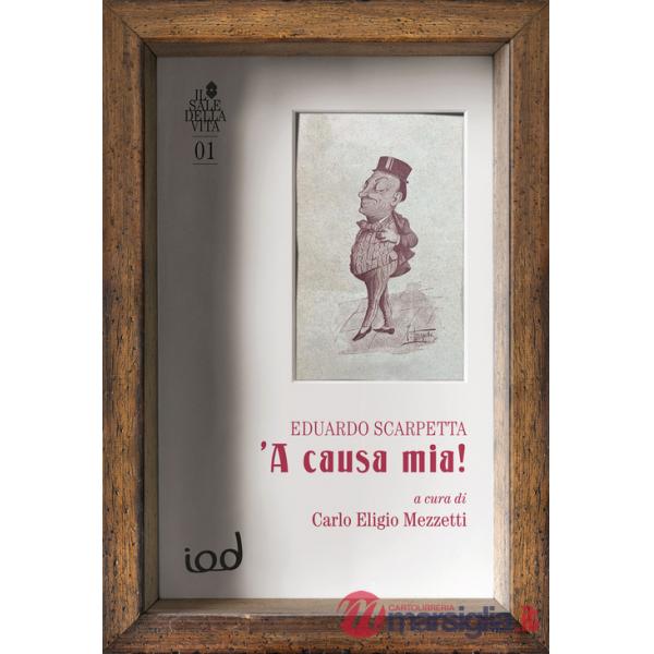 A causa mia!