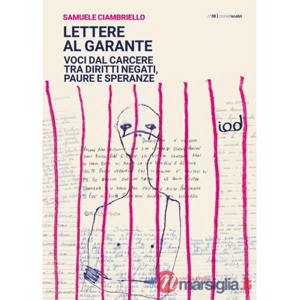 Lettere al garante. Voci dal carcere tra diritti negati, paure e speranze