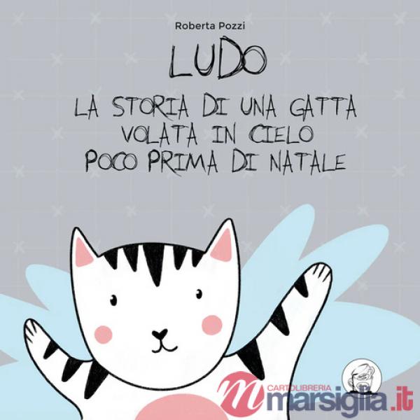 Ludo. La storia di una gatta volata in cielo poco prima di Natale