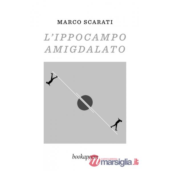 Ippocampo amigdalato (L')