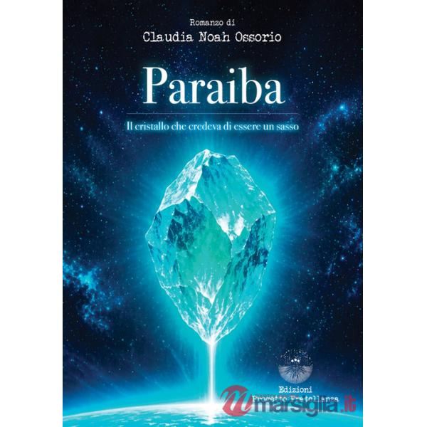 Paraiba. Il cristallo che credeva di essere un sasso