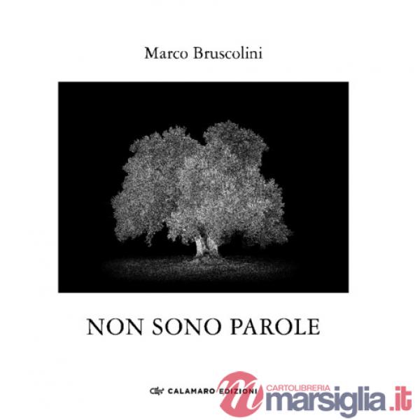Non sono parole. Quasi un rifugio dall'ansia della xylella. Ediz. illustrata