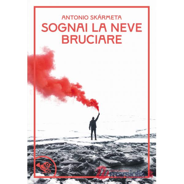 Sognai la neve bruciare