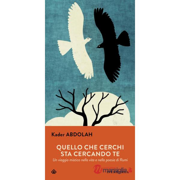 Quello che cerchi sta cercando te. Un viaggio mistico nella vita e nella poesia di Rumi