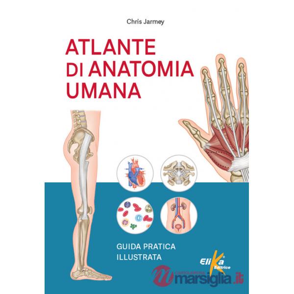 Atlante di anatomia umana. Guida pratica illustrata. Ediz. a colori
