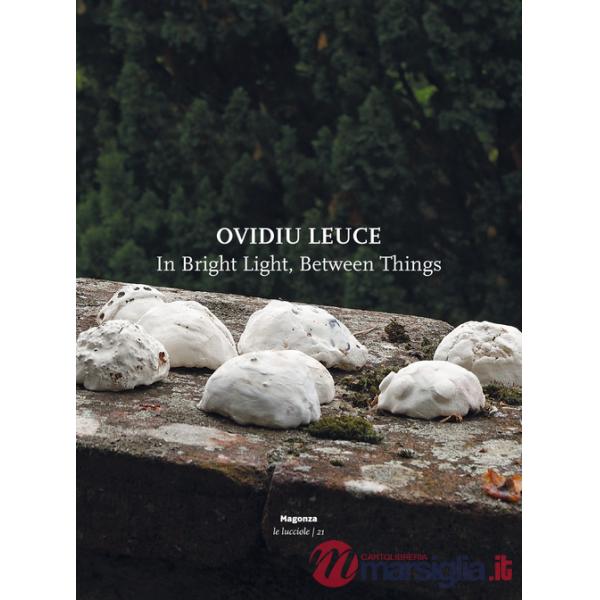 Ovidiu Leuce. In bright light, between things. Ediz. italiana e inglese