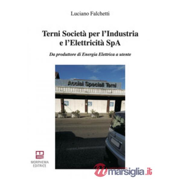 Terni Società per l'Industria e l'Elettricità SpA. Da produttore di energia elettrica a utente