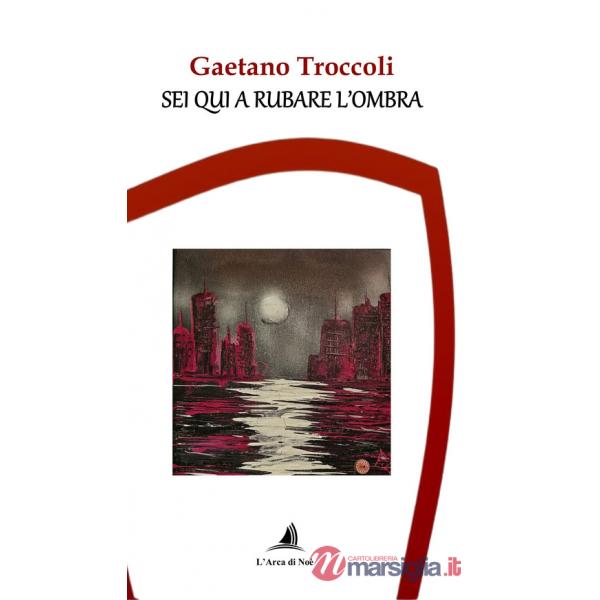 Sei qui a rubare l'ombra
