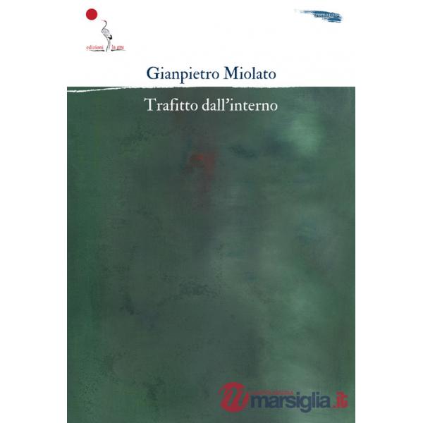 Trafitto dall'interno. Nuova ediz.