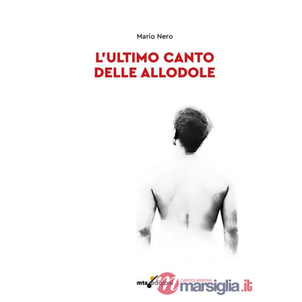 Ultimo canto delle allodole (L')