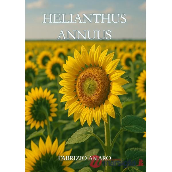 Helianthus Annuus