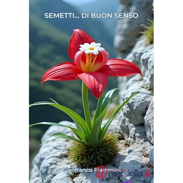 Semetti... di buon senso