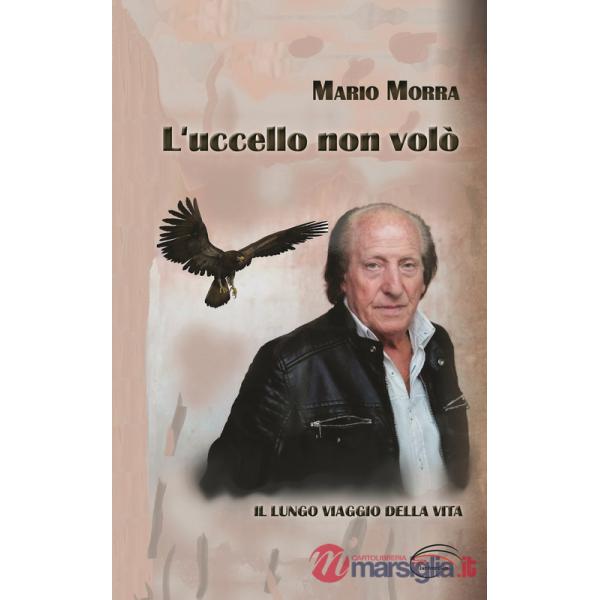 Uccello non volò (L')