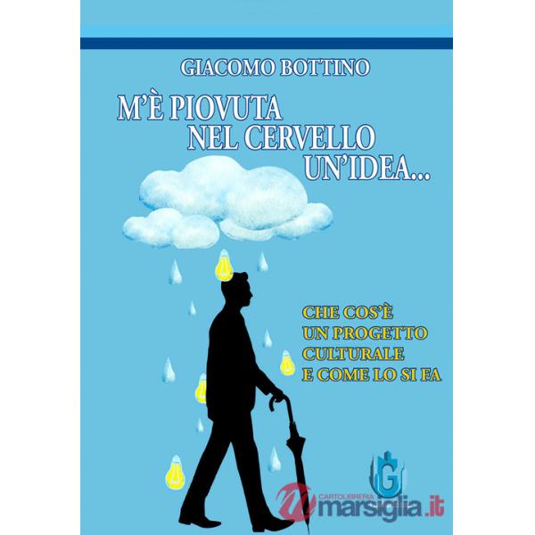 M'è piovuta nel cervello un'idea. Che cos'è un progetto culturale e come lo si fa. Ediz. illustrata