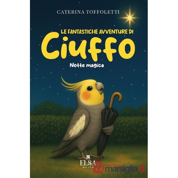 Fantastiche avventure di Ciuffo (Le). Vol. 2: Notte magica