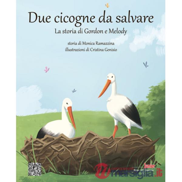 Due cicogne da salvare. La storia di Gordon e Melody. Ediz. illustrata