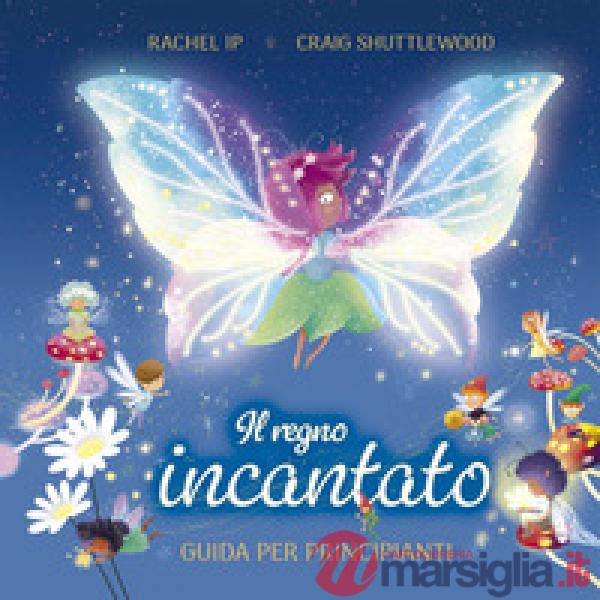 Regno incantato. Guida per principianti. Ediz. a colori (Il)