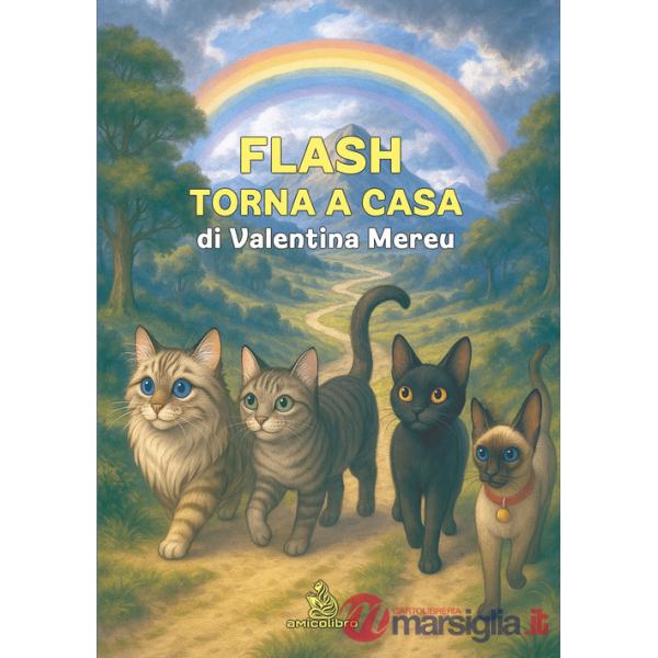 Flash torna a casa. Ediz. illustrata