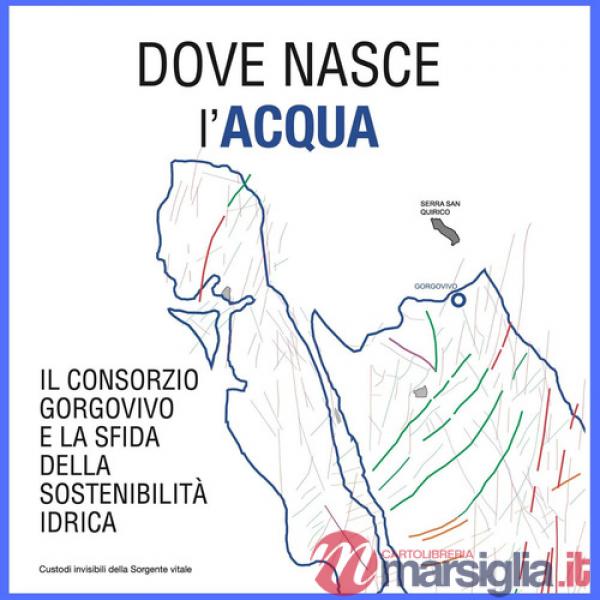 Dove nasce l'acqua. Il Consorzio Gorgovivo e la sfida della sostenibilità idrica. Ediz. illustrata