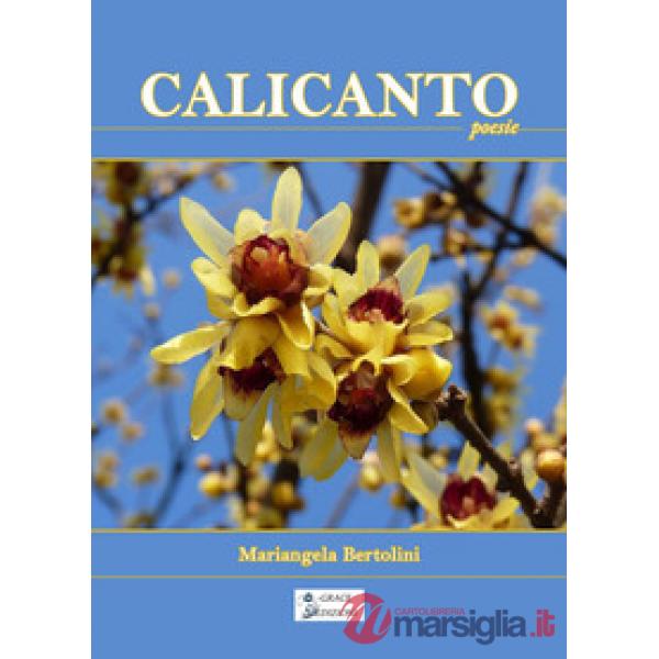 Calicanto