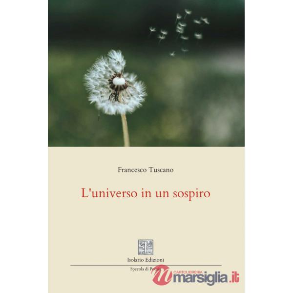 Universo in un sospiro (L')