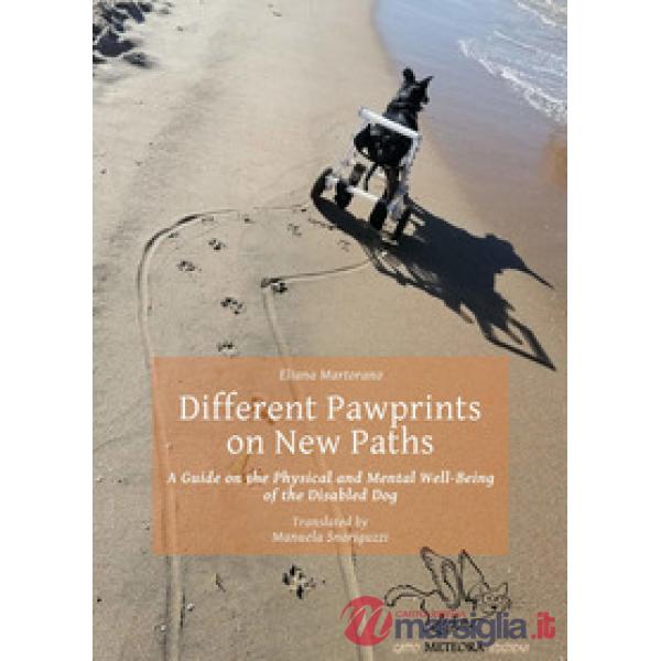 Different pawprints on new paths. A guide on the physical and mental well-being of the disabled dog
