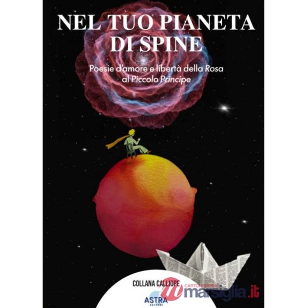 Nel tuo pianeta di spine. Poesie d'amore e libertà della rosa al piccolo Principe